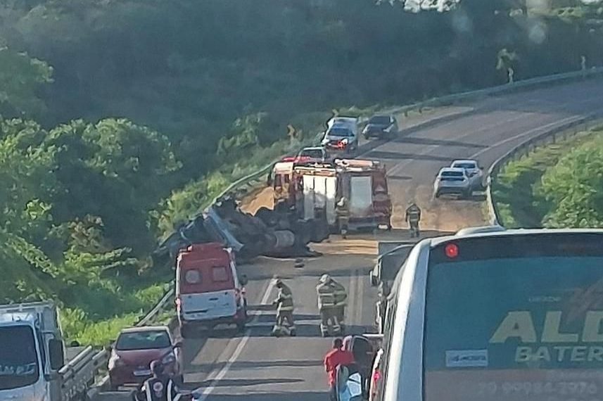 Motorista de caminhão é atacado mais de 90 picadas de abelhas e