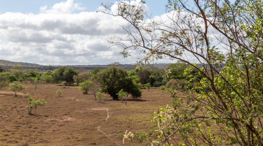 secasemsergipe_fotoigormatias